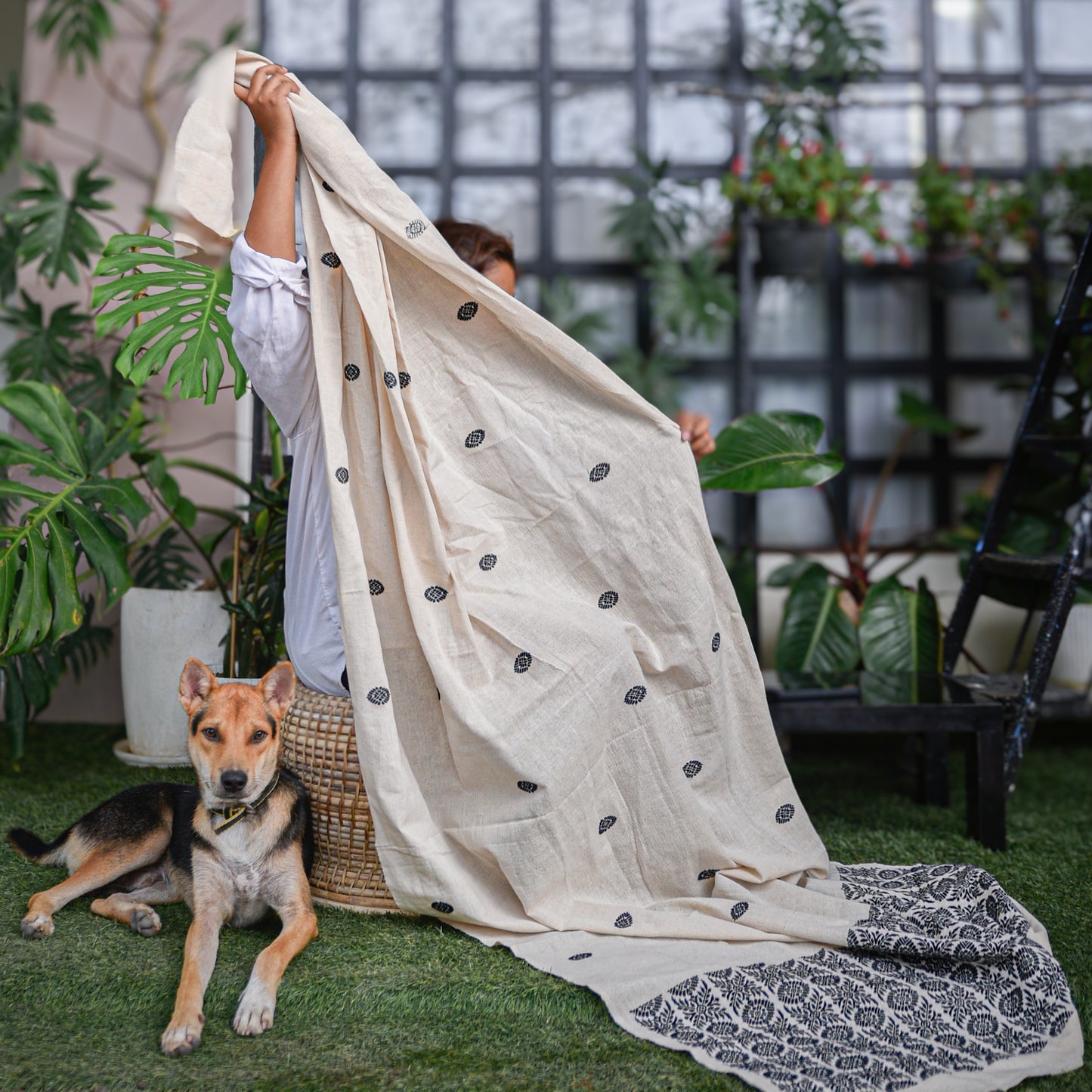 Beige & Black Buta Curtain